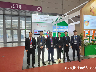 美好生活的“塑”造者：HTH下载app下载安装手机版2023DMP大湾区工业博览会圆满落幕